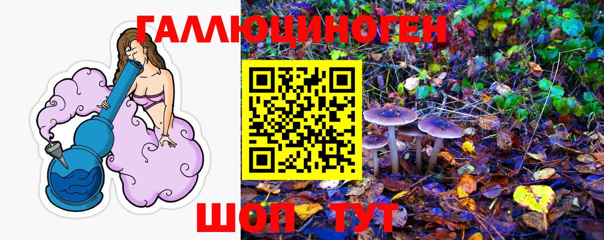 Галлюциногенные грибы Cubensis  Вход с VPN  Котлас 