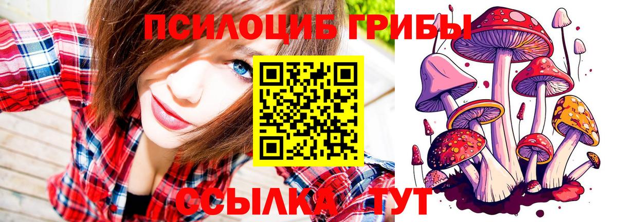 Галлюциногенные грибы MAGIC MUSHROOMS Котлас